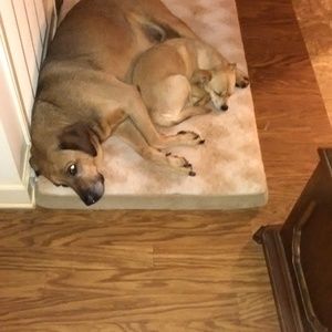 Meet your Posher, Loretta